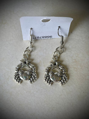 silver zodiac earrings
